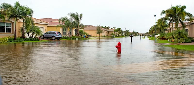 Flooded neighborhood street