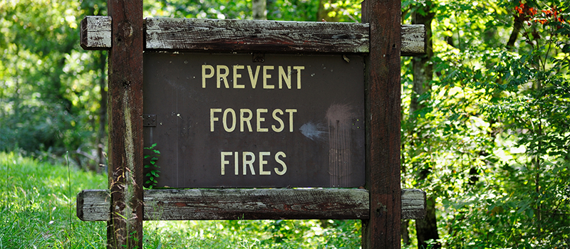 Prevent forest fires